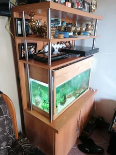 Display Cabinet with Fish Tank
