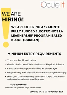 Electronics Learnership L4