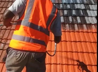 Roof repairs & painting