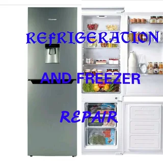 Domestic /Commercial refrigerator repairs and regassing onsite