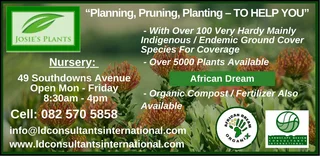 African Dream Organix & Josies Plants