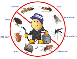 Pest Control And Fumigation