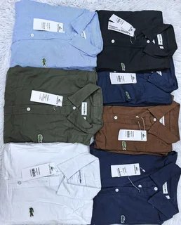 Lacoste  shirts