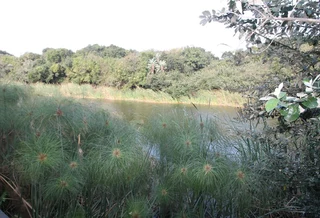 Furnished 3 bedroom townhouse in Zimbali!