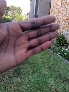 My name is Samson chiumia from Malawian am looking for garden job