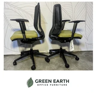 Dauphine | ergo|  therapy