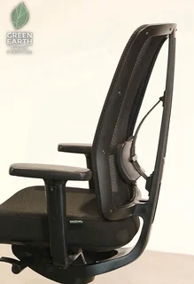 Dauphin | Dotta | Black