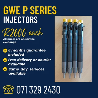 Gwm P Series Injectors For Sale With Warranty