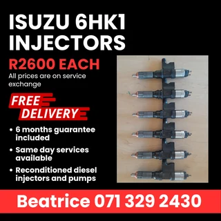 Isuzu 6hk1 Injectors For Sale With Warranty