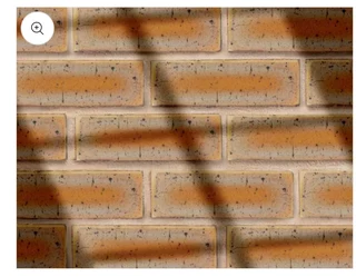 Face bricks specials