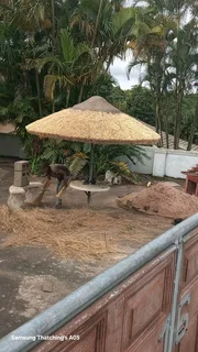 Thatch roof and all repairs
