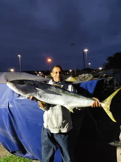 Inkunzi Fishing Charters