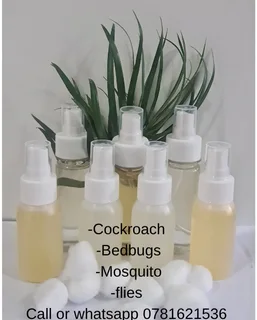 Pest control and cleaning services