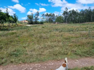 Vacant  plot to rent.