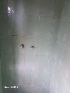 Outbuilding - Ad posted by Makaylyn Balraj