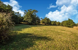Plot in Prime Position in sought after Gated Estate