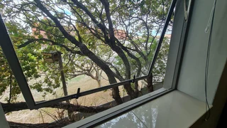 Stylish offices available in Tokai