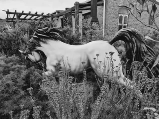 Bespoke Ranch and Wedding Venue entered the Market
