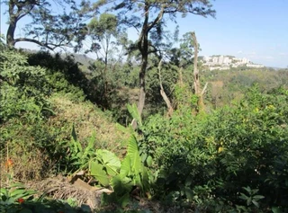 Spacious land in Cowies Hill!