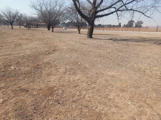 Vacant Stand For Sale!