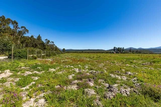 Exceptional 8-Hectare Lakefront Property on Swartvlei Lake