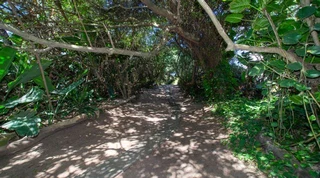 13 Bedroom Bed &amp; Breakfast For Sale In La Lucia