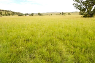 Rare opportunity to own a 994m2 vacant land in the charming town of Hobhouse, perfect for your dream