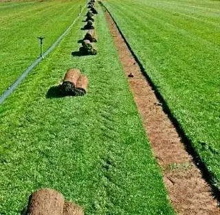 We supply and install buffalo grass