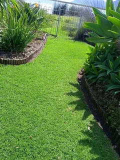We supply and install LM Berea grass