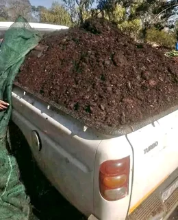 We supply and install LM Berea grass