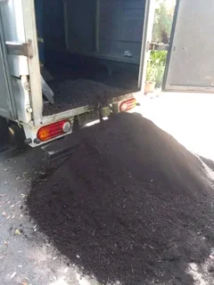 We supply and install LM Berea grass