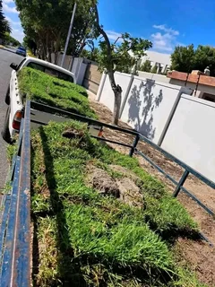 We supply and install Kikuyu Grass