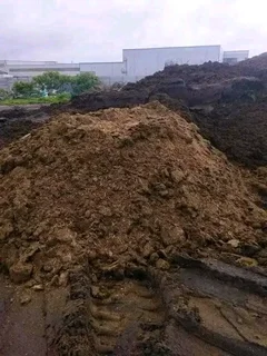 We supply and install Kikuyu Grass