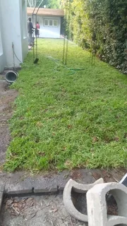 We supply and install Kikuyu Grass