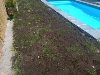 We supply and install Kikuyu Grass