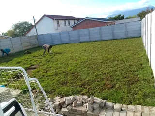 We supply and install Kikuyu Grass