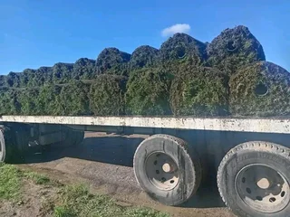 We supply and install Kikuyu Grass
