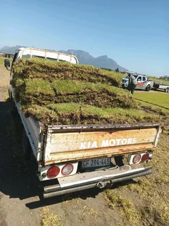 We supply and install Kikuyu Grass
