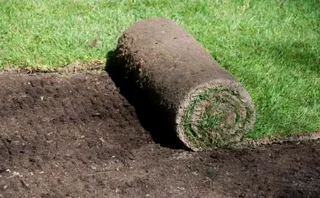 We supply and install Kikuyu Grass