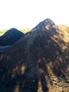 Roll on lawn Natural grass