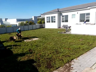 Roll on lawn Natural grass