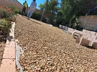 Roll on lawn Natural grass