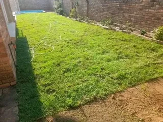 Roll on lawn Natural grass