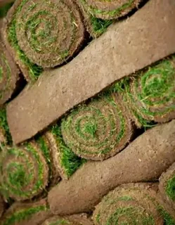 Roll on lawn Natural grass