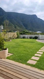 Roll on lawn Natural grass