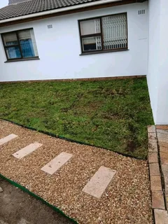 Roll on lawn Natural grass