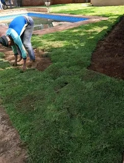 Roll on lawn Natural grass