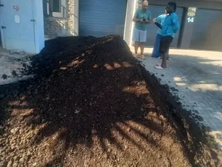 Roll on lawn Natural grass