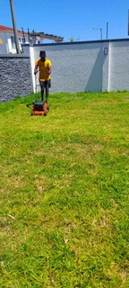 Roll on lawn Natural grass