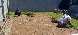 Roll on lawn Natural grass